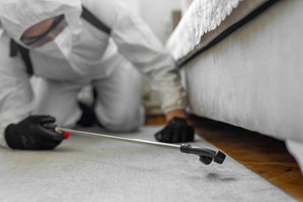 Professional Termite Control technician working in Thornton, CO