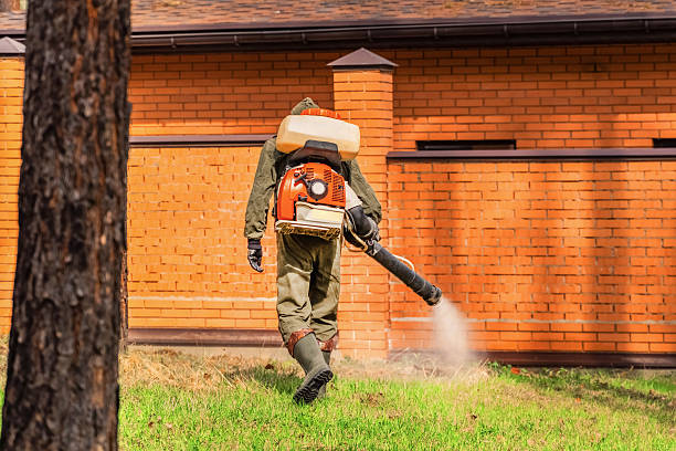 Top rated local Termite Control specialists in Thornton, CO